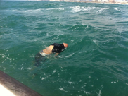 خلال أقل من أسبوع: العثور على جثة تطفو على سطح المياه بالقرب من الميناء 